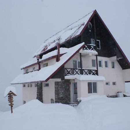 Hostel Snow House Gudauri Zewnętrze zdjęcie